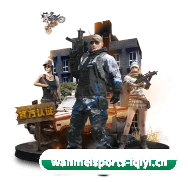 完美体育 APP | Wanmei